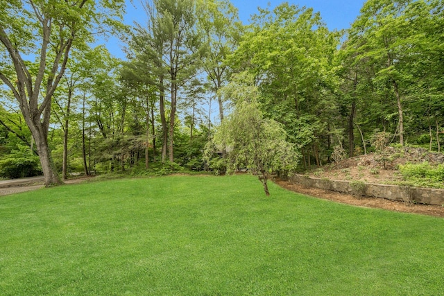 34 Glenside Pl, Chappaqua, NY 10514 - photo 37