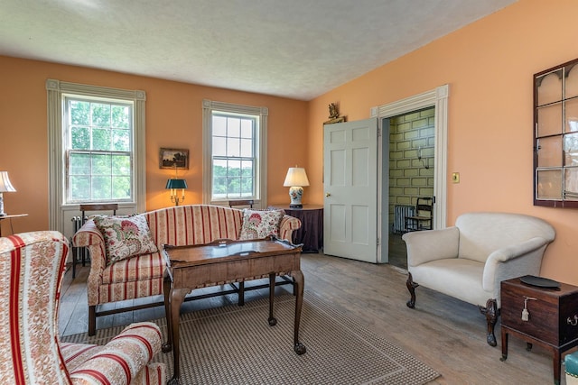 331 Merwin Rd, Millerton, NY 12546 - living room featuring wood finished floors