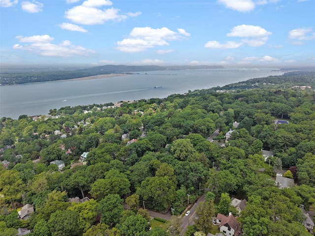 7 Ravine Dr, Hastings-On-Hudson, NY 10706 - aerial view of a large body of water and a forest