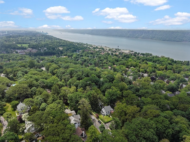 7 Ravine Dr, Hastings-On-Hudson, NY 10706 - drone / aerial view of a large body of water and a heavily wooded area