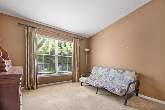 837 Huntington Dr Unit 152, Fishkill, NY 12524 - living area featuring carpet and baseboards