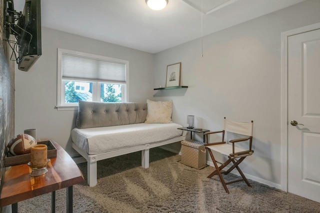 416 Sleepy Hollow Rd, Briarcliff Manor, NY 10510 - living area with attic access, carpet flooring, and baseboards