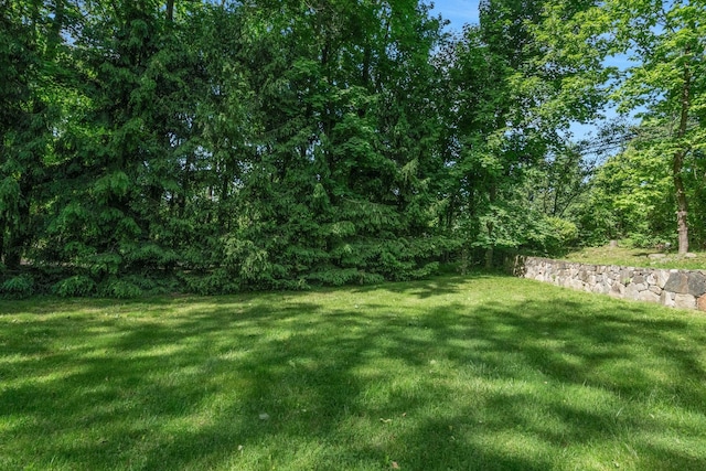 416 Sleepy Hollow Rd, Briarcliff Manor, NY 10510 - view of grassy yard
