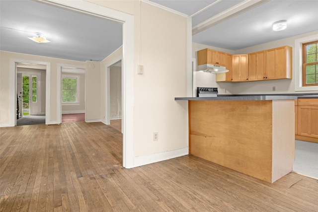1 Green St, Gilbertsville, NY 13776 - kitchen featuring under cabinet range hood, hardwood / wood-style flooring, light brown cabinets, dark countertops, and baseboards