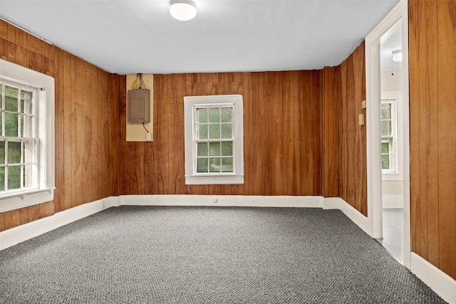 1 Green St, Gilbertsville, NY 13776 - carpeted empty room with wooden walls and electric panel