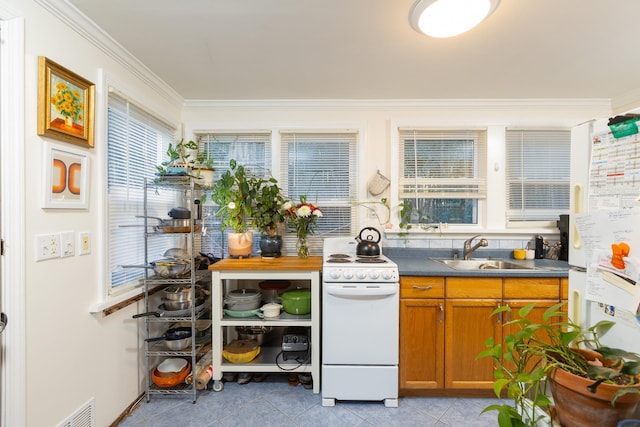 137C Shore Rd, Mount Sinai, NY 11766 - kitchen with white appliances, a sink, ornamental molding, dark countertops, and plenty of natural light