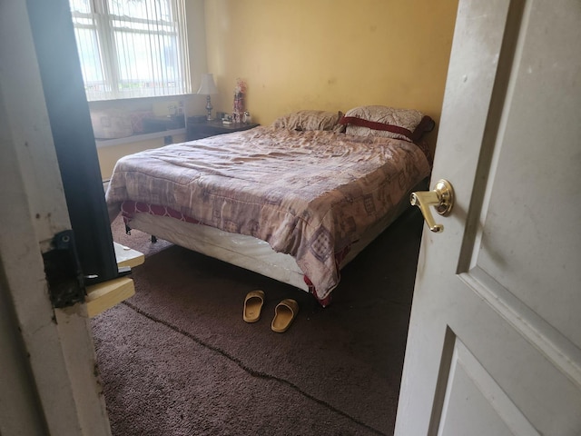 582 Hendrix St, Brooklyn, NY 11207 - view of carpeted bedroom