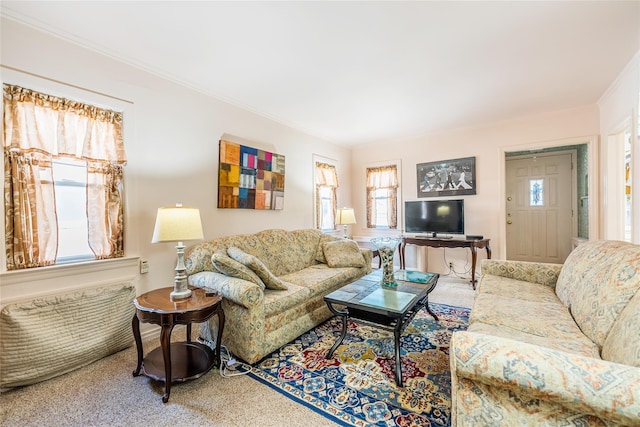 living area featuring crown molding and carpet flooring
