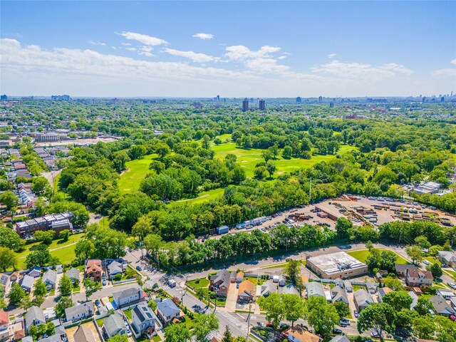 bird's eye view of a tree filled landscape
