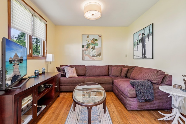 1 Meadowood Path, New Rochelle, NY 10804 - living area featuring light wood-style flooring