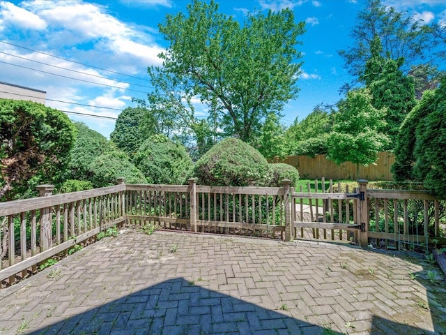10 Wooleys Ln Unit 1F, Great Neck, NY 11023 - view of patio / terrace
