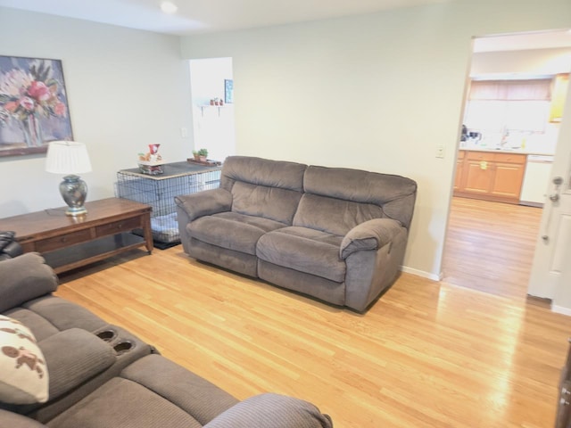 22 E Sycamore St, Central Islip, NY 11722 - living area with light wood-style floors and baseboards