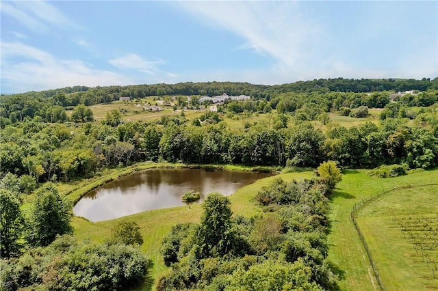 32 Old Chester Rd, Goshen, NY 10924 - aerial view of a large body of water