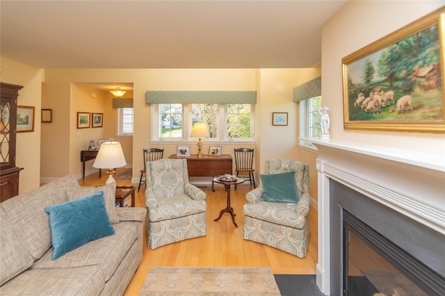 68 Hudson View Ter, Hyde Park, NY 12538 - living room with wood finished floors and a fireplace with flush hearth