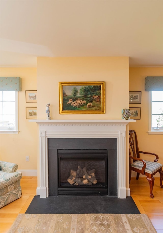 68 Hudson View Ter, Hyde Park, NY 12538 - detailed view of a fireplace with flush hearth, wood finished floors, and baseboards