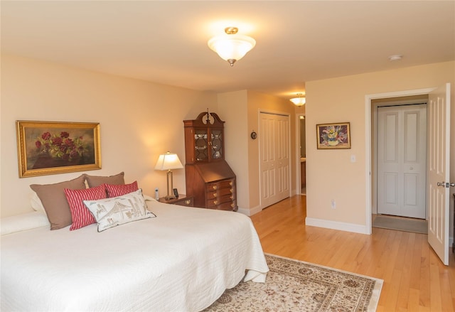 68 Hudson View Ter, Hyde Park, NY 12538 - bedroom with light wood-style flooring, baseboards, and a closet