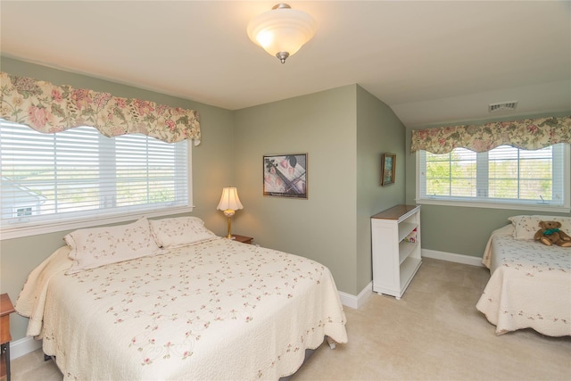 68 Hudson View Ter, Hyde Park, NY 12538 - bedroom with baseboards and light carpet