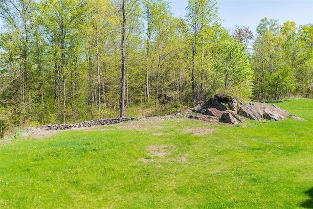 68 Hudson View Ter, Hyde Park, NY 12538 - view of green lawn