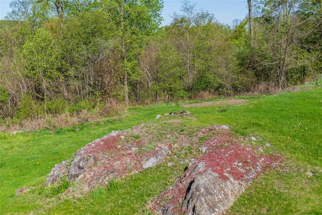 68 Hudson View Ter, Hyde Park, NY 12538 - view of yard featuring a wooded view