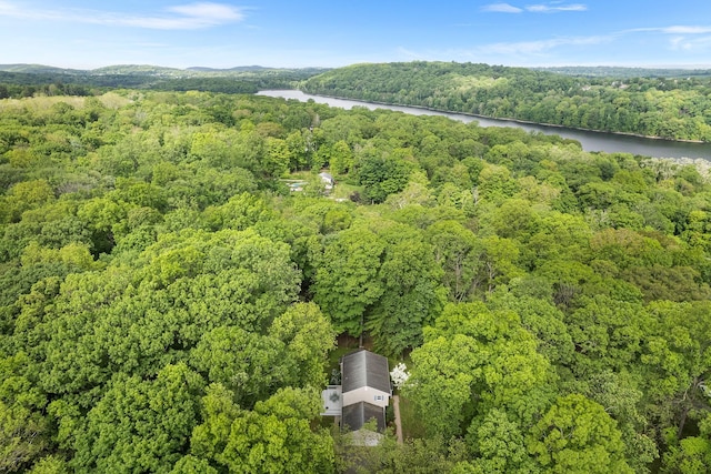 10 Catherine Pl, Katonah, NY 10536 - bird's eye view of a heavily wooded area and a nearby body of water