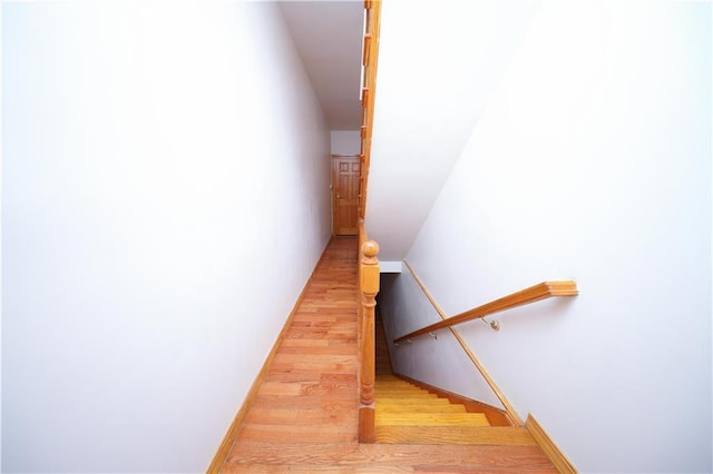 staircase featuring wood finished floors
