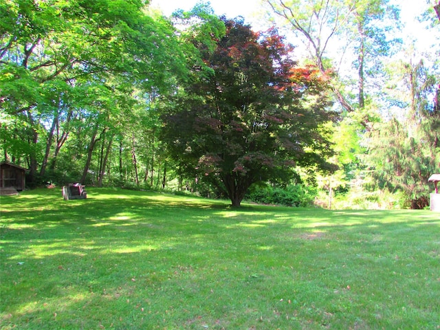 7 Holiday St, Pawling, NY 12564 - view of green lawn