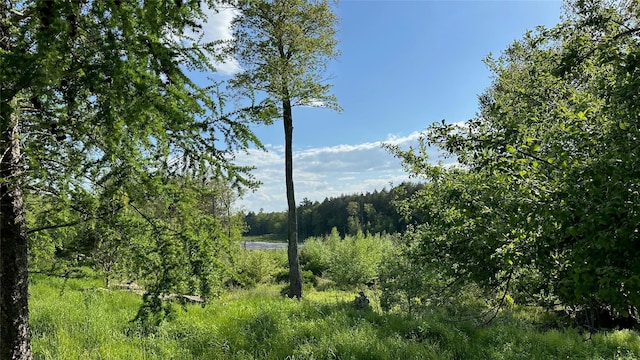674 Sackett Lake Rd, Monticello, NY 12701 - view of wooded area