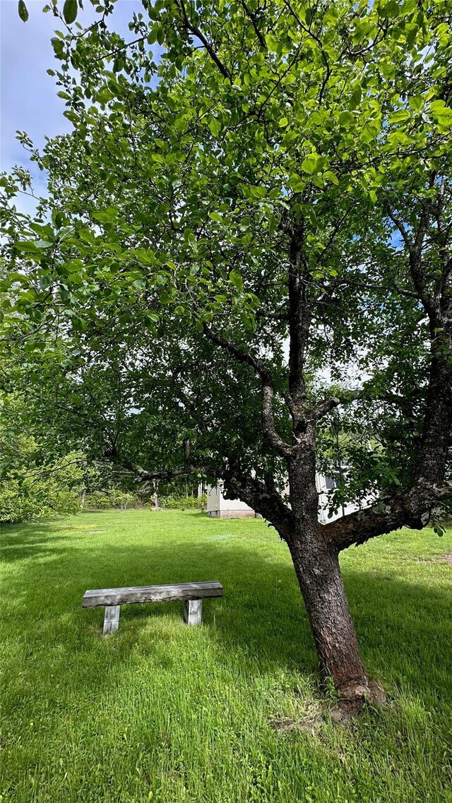 674 Sackett Lake Rd, Monticello, NY 12701 - view of property's community featuring a yard