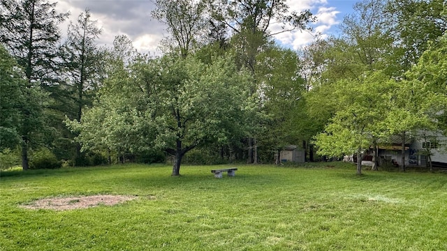 674 Sackett Lake Rd, Monticello, NY 12701 - view of grassy yard