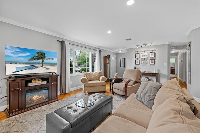 7 Lincoln Dr, Washingtonville, NY 10992 - living room featuring ornamental molding, baseboards, light wood finished floors, recessed lighting, and a glass covered fireplace
