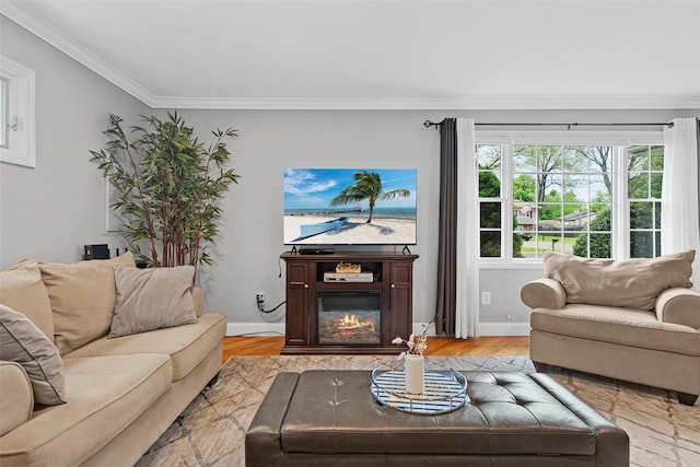 7 Lincoln Dr, Washingtonville, NY 10992 - living room featuring ornamental molding, light wood-type flooring, baseboards, and a glass covered fireplace