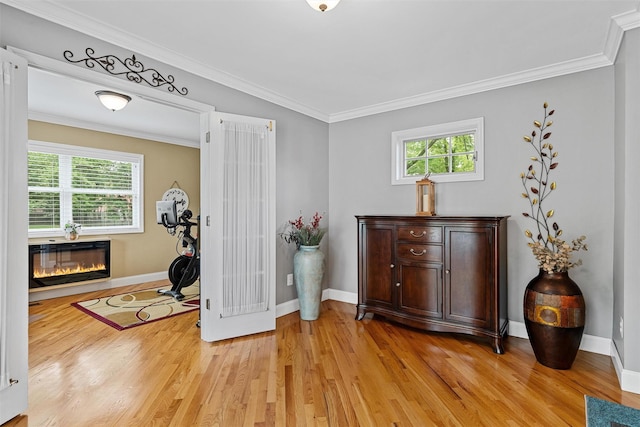 7 Lincoln Dr, Washingtonville, NY 10992 - interior space with plenty of natural light, light wood finished floors, baseboards, a glass covered fireplace, and crown molding