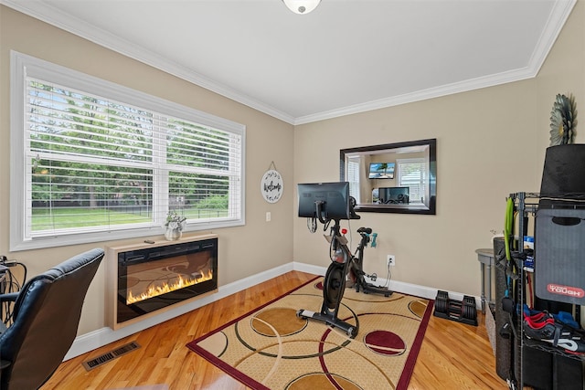 7 Lincoln Dr, Washingtonville, NY 10992 - exercise area featuring ornamental molding, wood finished floors, a glass covered fireplace, and baseboards