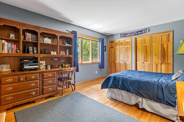 50 Stallion Trl, Brewster, NY 10509 - bedroom with two closets, an office area, and light wood finished floors