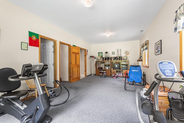 50 Stallion Trl, Brewster, NY 10509 - exercise area featuring carpet floors