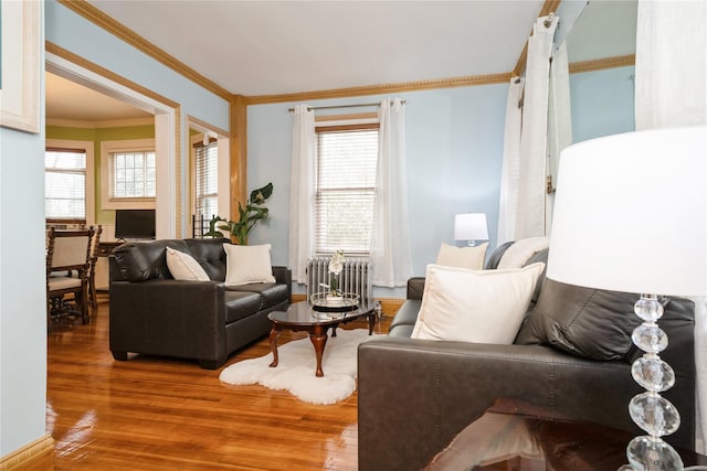 11 Bridge St, Suffern, NY 10901 - living area featuring radiator heating unit, wood finished floors, crown molding, and healthy amount of natural light