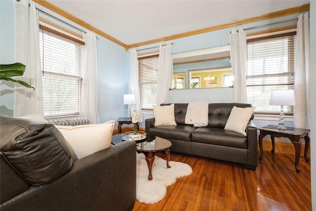 11 Bridge St, Suffern, NY 10901 - living room featuring wood-type flooring, crown molding, and plenty of natural light