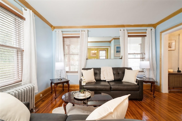 11 Bridge St, Suffern, NY 10901 - living room with radiator, ornamental molding, and hardwood / wood-style floors