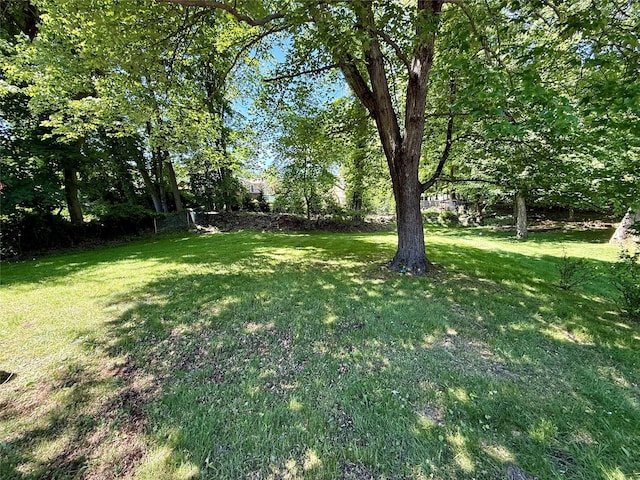 123 Helene Rd, Valley Cottage, NY 10989 - view of grassy yard
