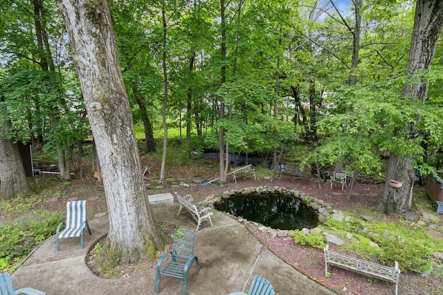 18 Norwood Pl, Nanuet, NY 10954 - view of yard with a garden pond