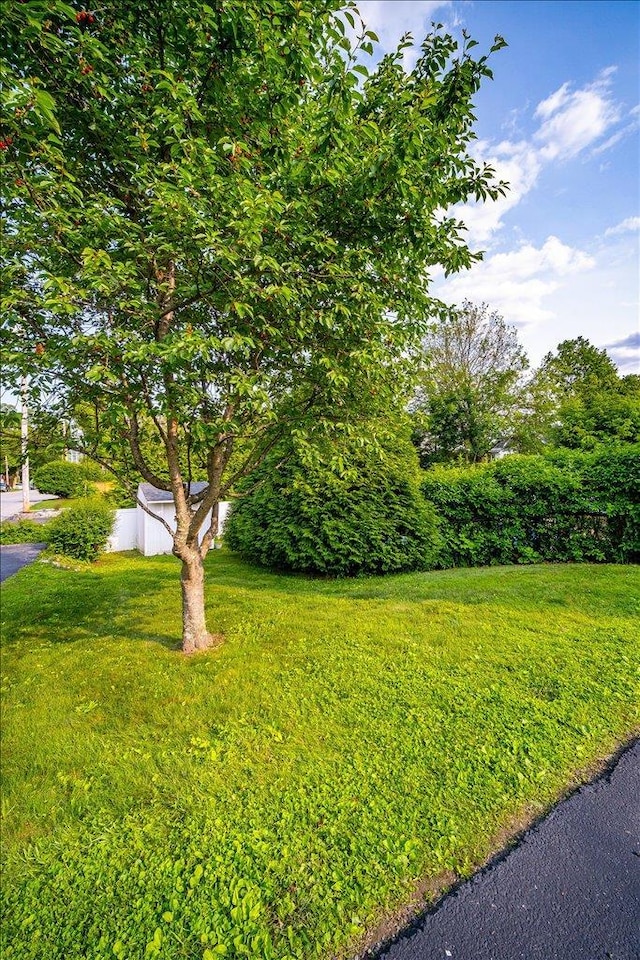 70 Cross St, Beacon, NY 12508 - photo 36