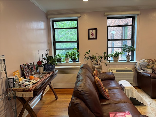 215-19 48th Ave Unit 2C, Bayside, NY 11364 - living room featuring crown molding, light wood-type flooring, and a wall mounted air conditioner