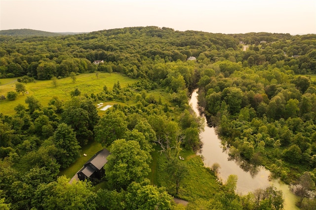 101 Holmes Rd, Newburgh, NY 12550 - aerial view of a forest and a nearby body of water