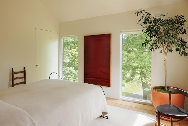 101 Holmes Rd, Newburgh, NY 12550 - bedroom with vaulted ceiling and wood finished floors