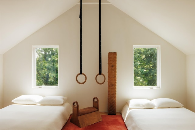 101 Holmes Rd, Newburgh, NY 12550 - bedroom featuring carpet, multiple windows, and vaulted ceiling