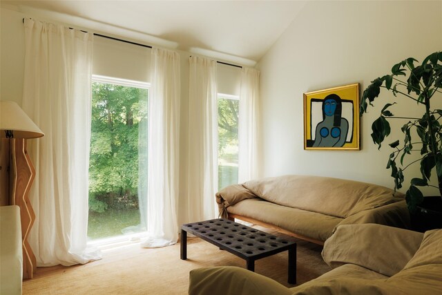 101 Holmes Rd, Newburgh, NY 12550 - living room with lofted ceiling