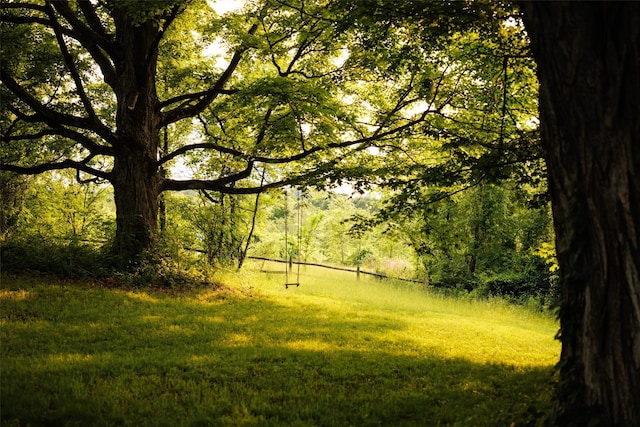 101 Holmes Rd, Newburgh, NY 12550 - view of grassy yard featuring a wooded view