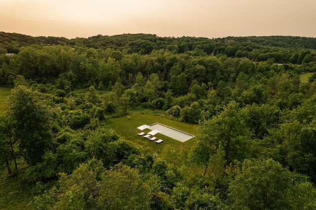 101 Holmes Rd, Newburgh, NY 12550 - view of subject property featuring a forest