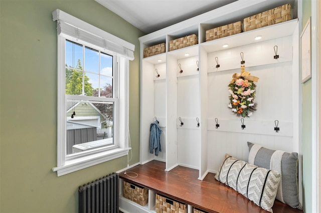 10 Mcbride Ave, White Plains, NY 10603 - mudroom with radiator