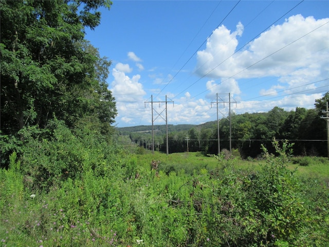 210 Ferndale Rd, Ferndale, NY 12754 - photo 2